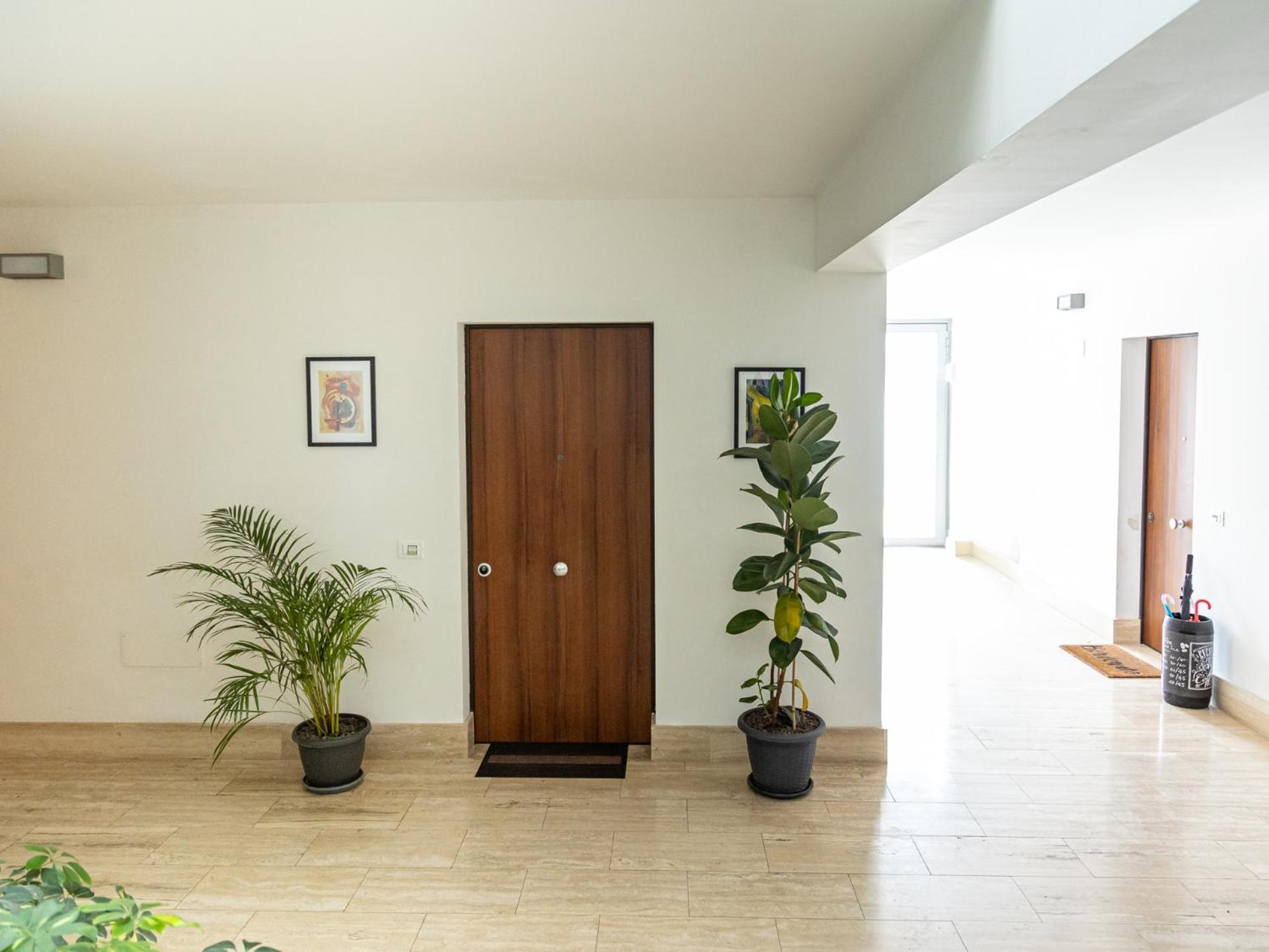 Frattocchie Mrb Real Estate - Maison Ludovica - Monolocale Moderno Con Giardino מראה חיצוני תמונה